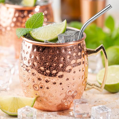 Reusable 6-Inch Stainless Steel Drinking Straws - 10 Pack