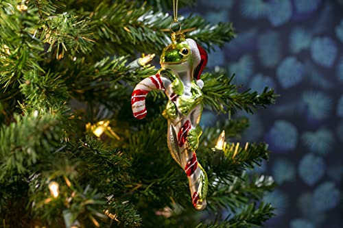 Party Rock Lizard on Candycane Christmas Ornament - Festive Holiday Decor - 2.5 Inch