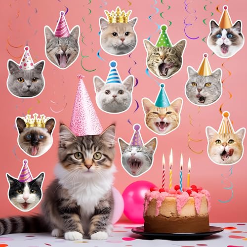 30-Piece Cat Theme Hanging Swirl Decorations for Birthday Parties