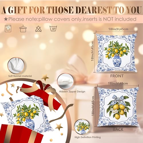 Chinoiserie Lemon Throw Pillow Cover 18x18 - Flannel Decorative Cushion