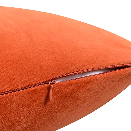 Krifey Velvet Throw Pillow Covers 18x18 Inch, Soft Decorative Cushion Case, 2-Pack