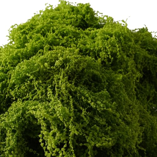 BYHER 7OZ Fake Moss for Indoor Plants & Crafts - Lifelike Greenery