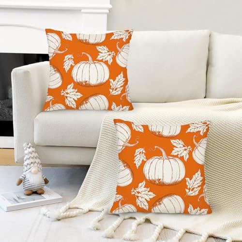 Fall Pumpkin Throw Pillow Covers 20x20 Inch Set of 2 Linen Farmhouse Decor