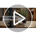 Glass Roller Bottles for Essential Oils 10ml - 6 Pack