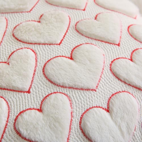 Valentine's Day Heart Pillow Covers - Set of 2 Red 18x18 Inch Plush Cases