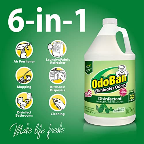 OdoBan Eucalyptus Disinfectant Cleaner Concentrate - 1 Gallon