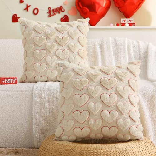 Valentine's Day Pillow Covers Set of 2 - 18x18 Inch Red Pink Heart Design