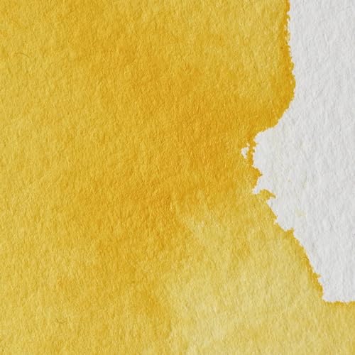 Winsor & Newton Professional Watercolor Half Pan - Cadmium-Free Yellow