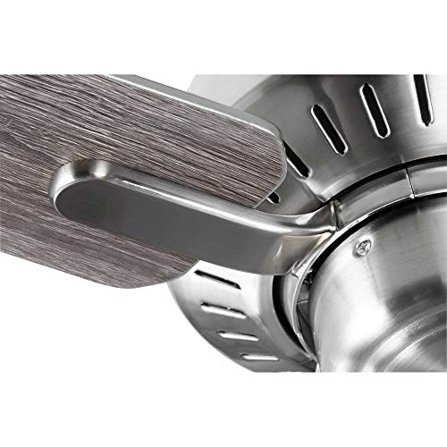 Progress Lighting Drift Collection 32'' Four-Blade Ceiling Fan