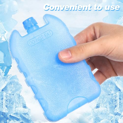 TOYANDONA Reusable Ice Packs for Cooler - 4 Pack Slim Freezer Bricks