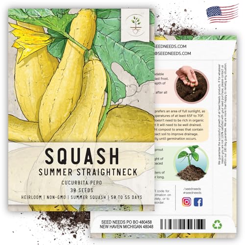 Straightneck Squash Seeds - 30 Heirloom Seeds for Summer Garden