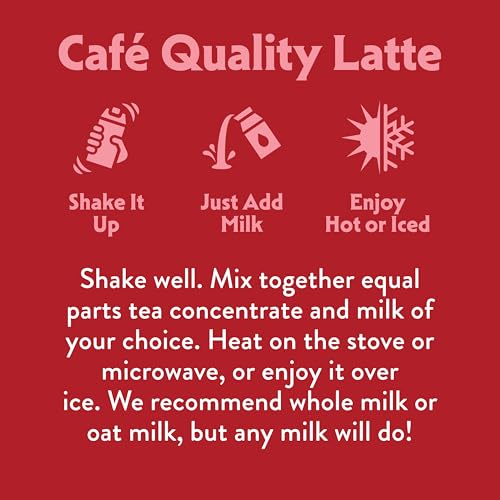 STASH Double Spice Chai Latte - Dairy Free Tea Concentrate - 32 Fl Oz