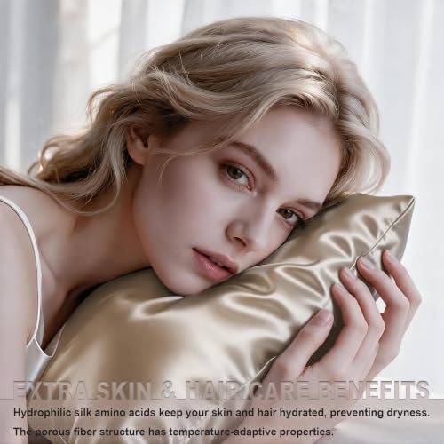 LYSHIN 19 Momme Mulberry Silk Pillowcase, Standard Size (20"x26"), Champagne