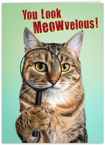 Funny Cat Birthday Card - 5x7 Premium Greeting Card for Cat Lovers