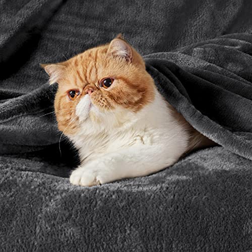 Bedsure GentleSoft Charcoal Fleece Throw Blanket 50" x 60"