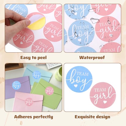 60Pcs Gender Reveal Stickers 1.65in - Team Boy & Girl Party Decor