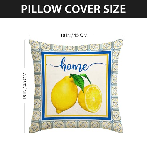 Italian Lemon Pillow Covers 18x18 Inch (Pack of 4) - Blue & Cyan