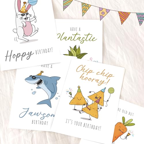 Funny Birthday Cards Bulk Pack - 20 Unique 4x6 Greeting Cards with Envelopes & Stickers