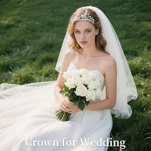 Silver Crystal Rhinestone Queen Tiara for Women Bridal and Birthday