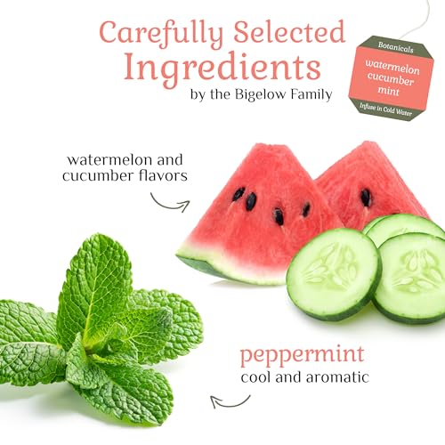 Bigelow Botanicals Cold Water Infusion, Watermelon Cucumber Mint, 108 Bags