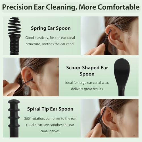 12-Piece Carbon Steel Ear Cleaning Set with Leather Storage Case