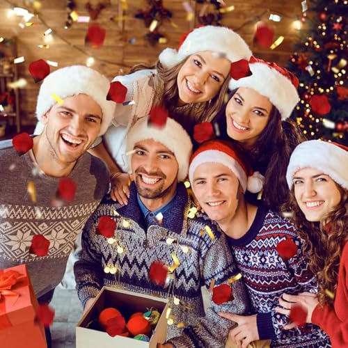 Black Silk Rose Petals - Realistic Non-Woven Flower Petals, 1000 PCS