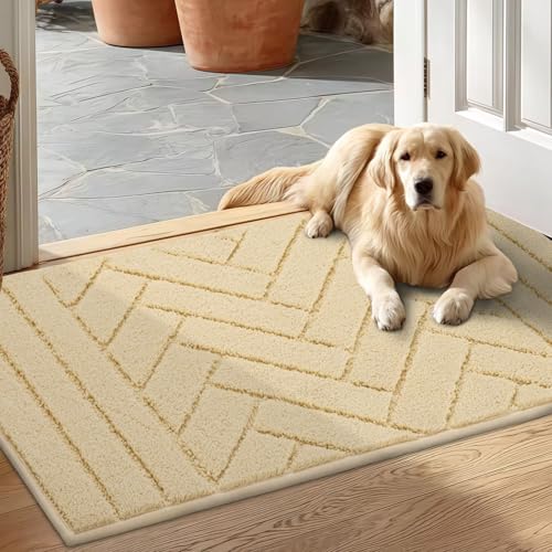 Hicorfe Indoor Doormat - Non-Slip Absorbent Floor Mat 20"x32"