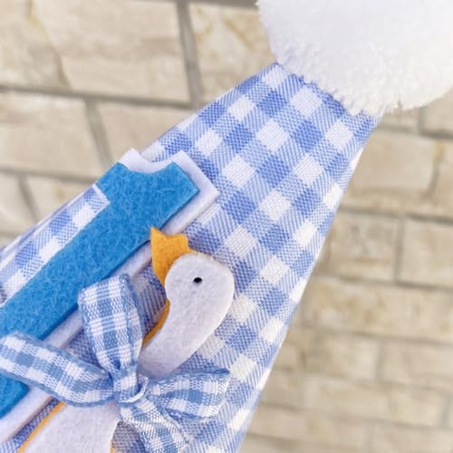 Goose-Themed 1st Birthday Party Hat for Boys & Girls