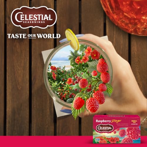 Celestial Seasonings Raspberry Zinger Herbal Tea, 20 Count (Pack of 6)