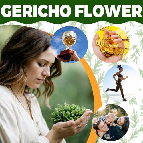11-Pack Rose of Jericho Resurrection Plants - 1-2 Inch Dried Ferns for Home Decor