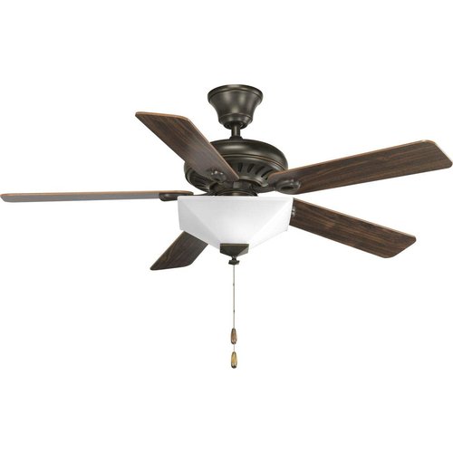 Progress Lighting AirPro Universal Two-Light Ceiling Fan Light