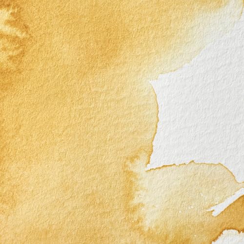 Winsor & Newton Professional Watercolor 14ml Tube - Yellow Ochre Light