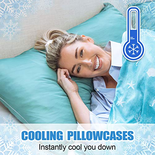 Ailemei Cooling Pillow Cases, Standard Size Set of 2, Double Sided Icy-Jade