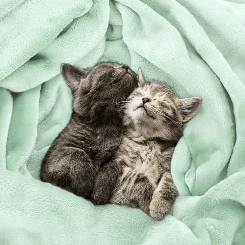 Utopia Bedding Soft Fleece Blanket Queen Size - Mint Green (90x90 Inch)