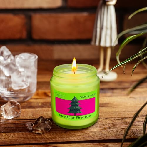Set of 12 Scented Soy Candles in Frosted Glass Jars for Home & Gift