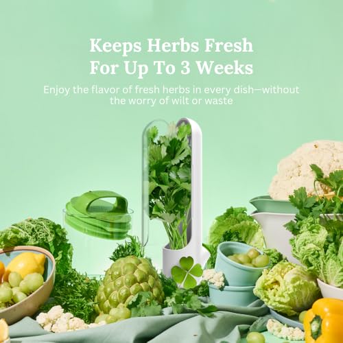 Prepara Mini Herb Saver - Fresh Herb Storage Container for Refrigerator
