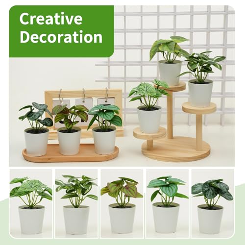 Freyalife 6 Pack Mini Artificial Potted Plants for Indoor Decor