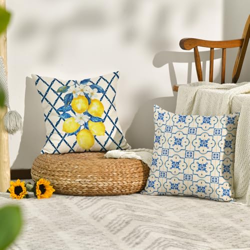 AVOIN Colorlife Lemon Summer Throw Pillow Covers, 18x18 Inch, Set of 4