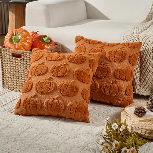 Volcanics Rust Pumpkin Fall Throw Pillow Covers 20x20 Set of 2 - Faux Fur Accent Cushions for Autumn Decor