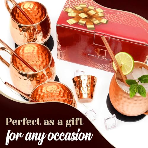 Copper Moscow Mule Mug Set of 4 - 19 oz Hand-Hammered Copper Barware with Reusable Straws, Jigger & Coasters
