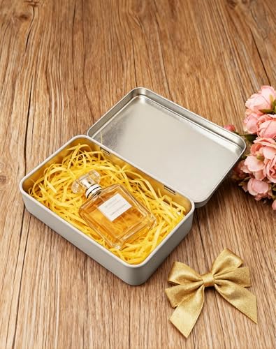 LJY 2 Pack Metal Storage Tins with Hinged Lids - Silver, 5.9x3.5x1.2 in