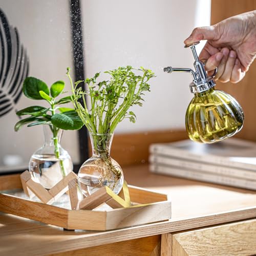 Hydroponic Propagation Station with Wooden Stand - Glass Bulb Vases