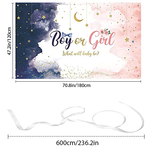 Gender Reveal Backdrop Banner | Watercolor Blue Pink Stars