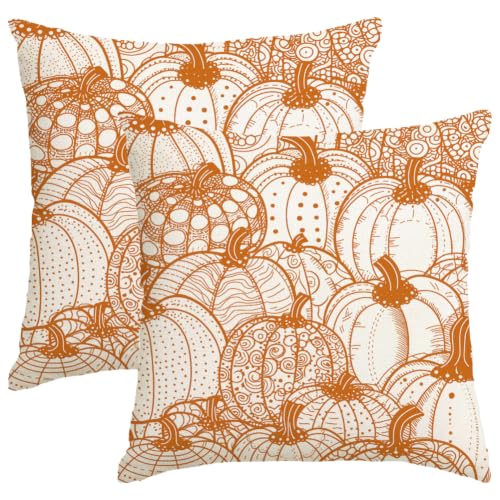 RABUSOFA Pumpkin Pillow Covers 18x18 (Set of 2) - Fall Outdoor Decor