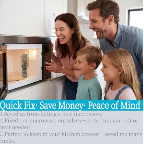 20A Microwave Fuse 5-Pack, Slow-Blow Ceramic Replacement