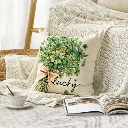 AVOIN colorlife St Patrick's Day Lucky Clovers Throw Pillow Cover 18x18 Inch Shamrock Cushion Case for Sofa Couch - Variation 1