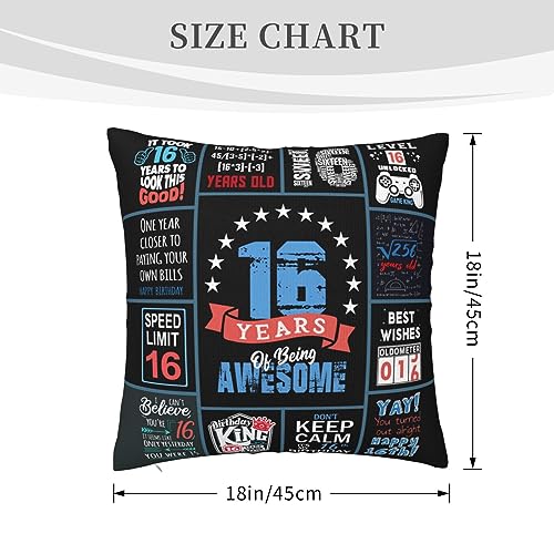 16th Birthday Gift for Boys Throw Pillow Cover, 18x18 Inch Blue Design
