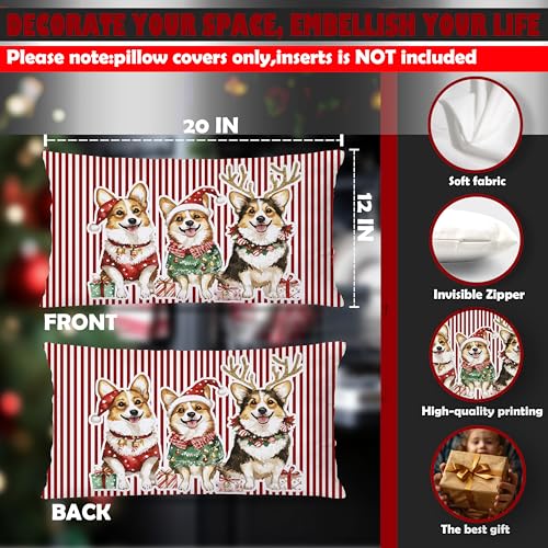 DAYOUER Red2 Corgi Christmas Pillow Cover 12x20 Double-Sided Festive Decor
