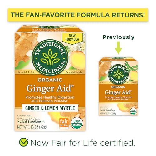 Organic Ginger Aid Tea - 16 Count - Digestive Support