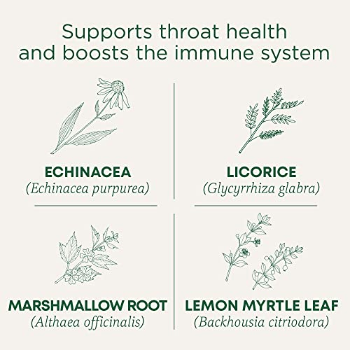 Traditional Medicinals Organic Lemon Echinacea Throat Coat Tea, 32 Count